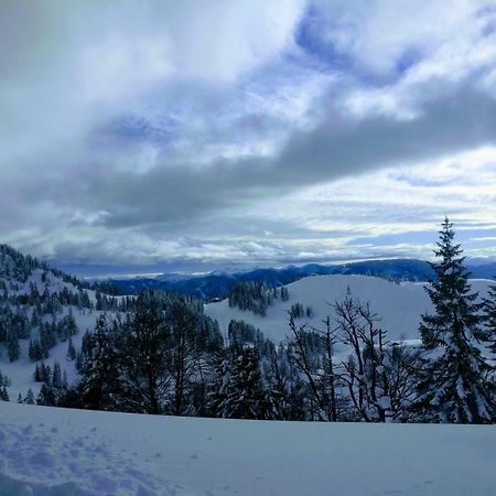 Pension Edelweiss Top 25 Gosau Luaran gambar