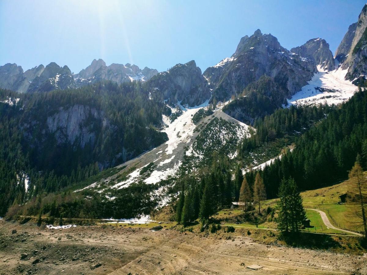 Pension Edelweiss Top 25 Gosau Luaran gambar