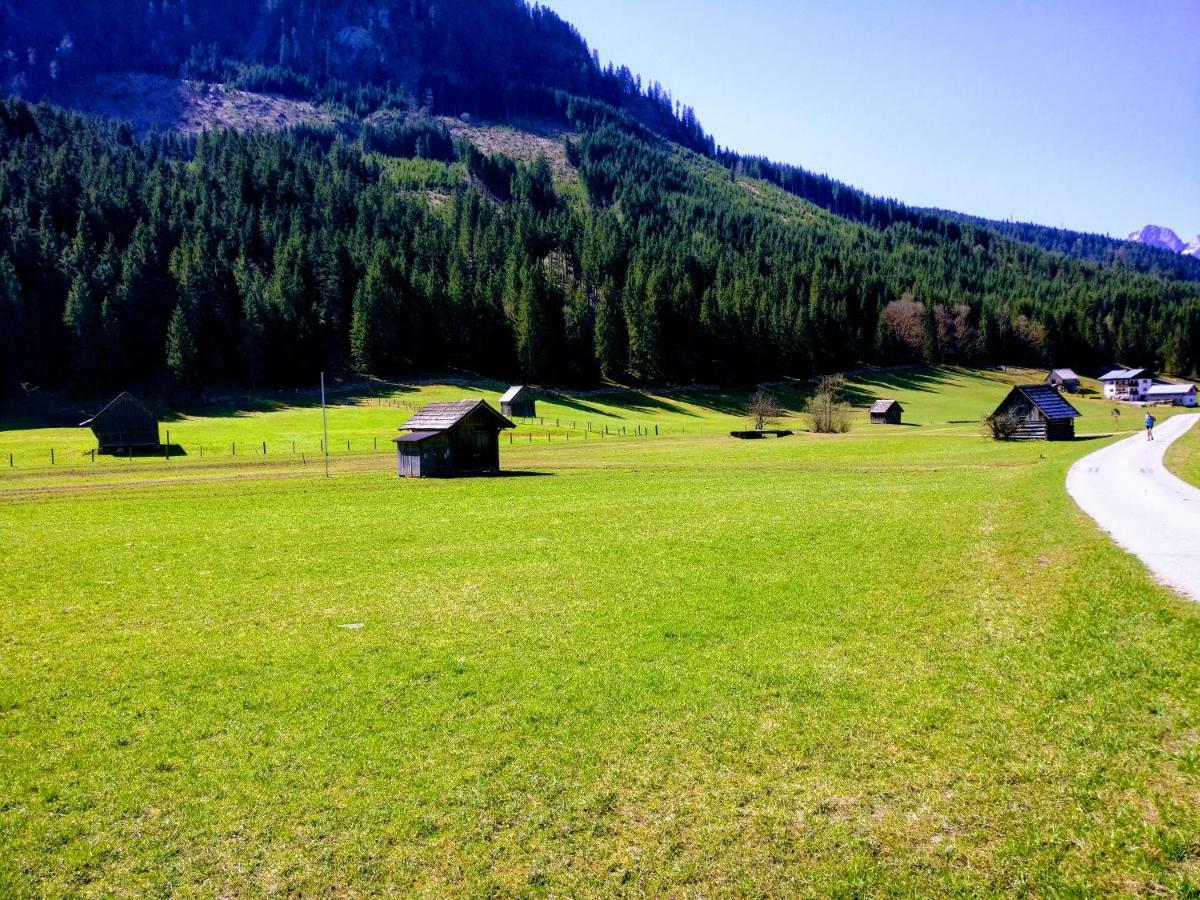 Pension Edelweiss Top 25 Gosau Luaran gambar