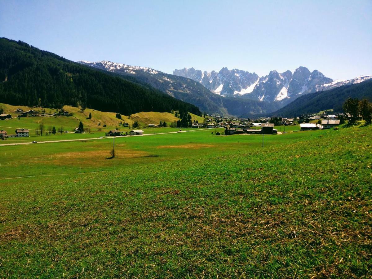 Pension Edelweiss Top 25 Gosau Luaran gambar