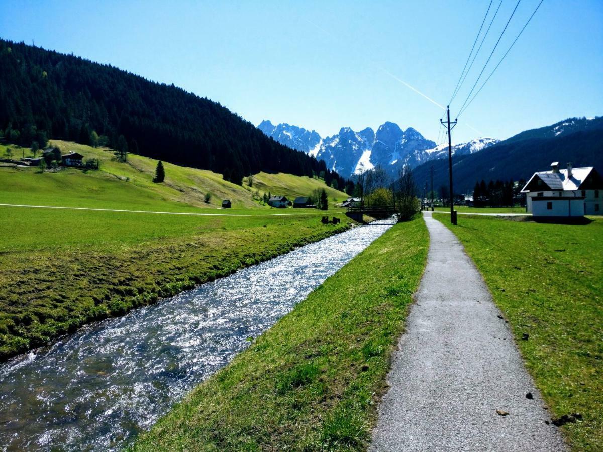 Pension Edelweiss Top 25 Gosau Luaran gambar