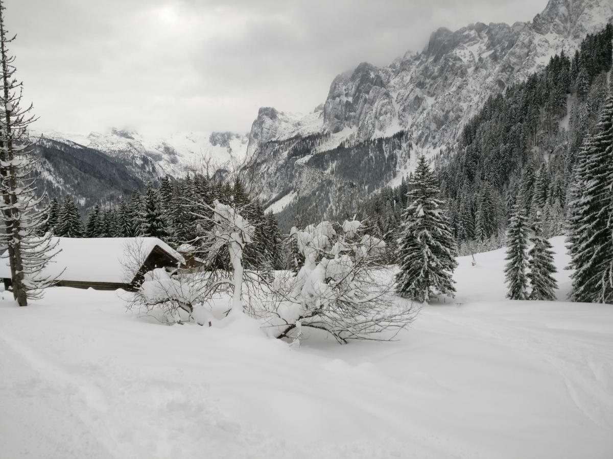 Pension Edelweiss Top 25 Gosau Luaran gambar
