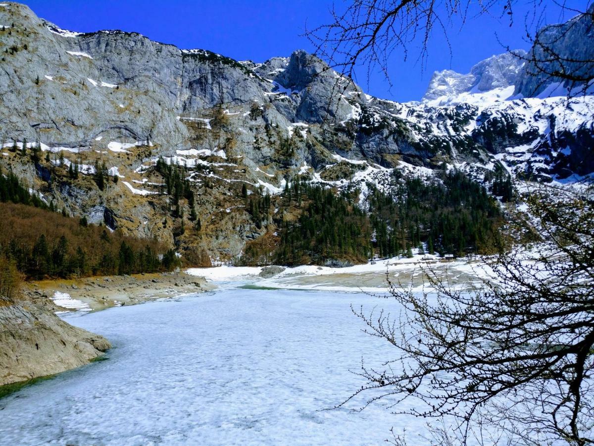 Pension Edelweiss Top 25 Gosau Luaran gambar