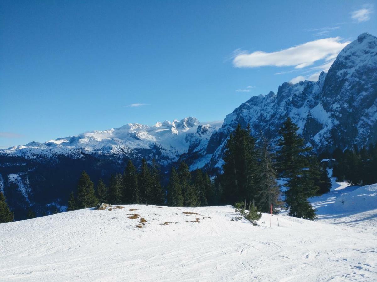 Pension Edelweiss Top 25 Gosau Luaran gambar
