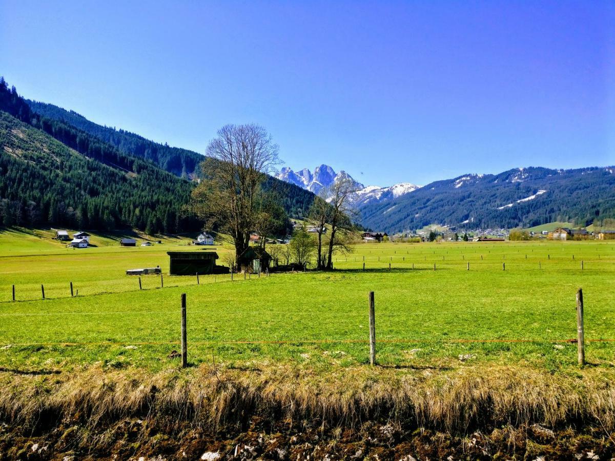 Pension Edelweiss Top 25 Gosau Luaran gambar