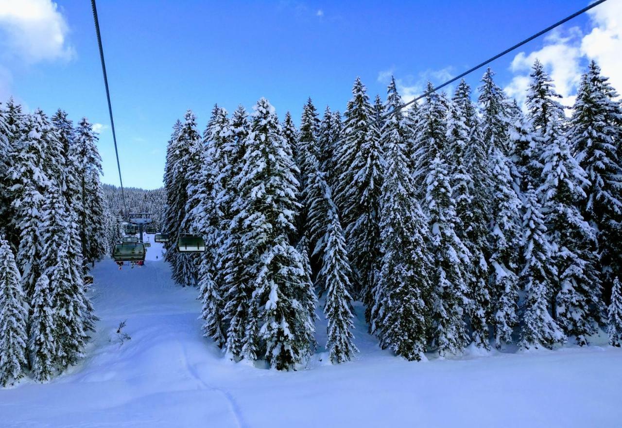 Pension Edelweiss Top 25 Gosau Luaran gambar