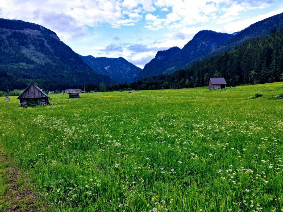 Pension Edelweiss Top 25 Gosau Luaran gambar